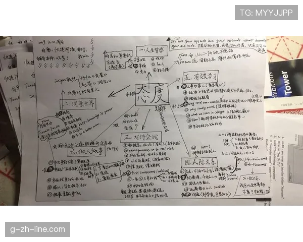 LINE Business好友增长策略从精准定位到高效互动